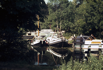 808862 Afbeelding van enkele boten in de Leidsche Rijn te Utrecht, ter hoogte van het Park Oog in Al.